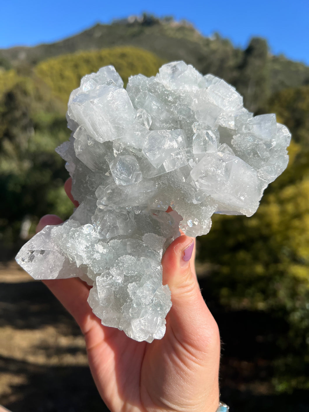 Apophyllite Cluster