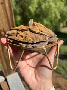 Pink Amethyst Botryoidal Druzy Geode Jewelry Box