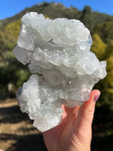 Apophyllite Cluster