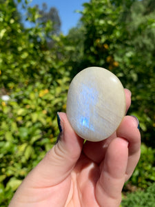 Moonstone Palmstone Variety