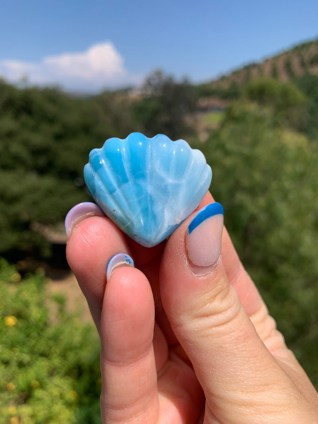 Larimar Shell Cabochon 70PA