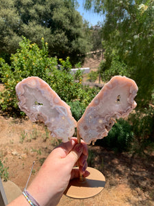 Pink Amethyst Butterfly Wings