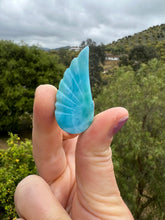 Load image into Gallery viewer, Larimar Wing AAA