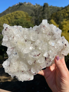 Apophyllite Cluster