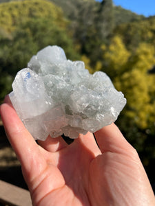 Apophyllite Cluster