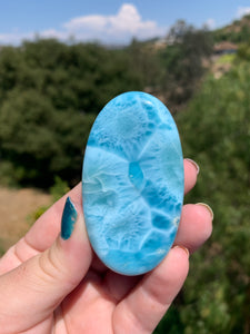 Larimar Palmstone 284CS