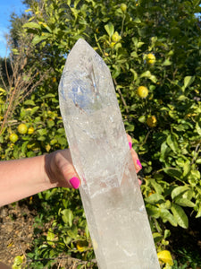 Large Lemurian Polished Tower