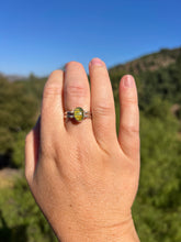 Load image into Gallery viewer, Larimar Amber Reversible Ring Size 8