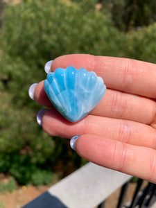 Larimar Shell Cabochon 70PA