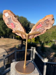 Pink Amethyst Butterfly Wings On Stand