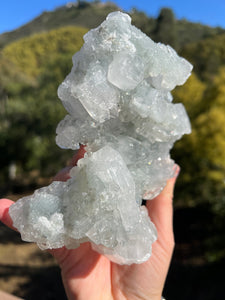 Apophyllite Cluster