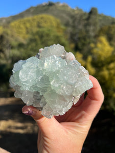 Green Apophyllite with Peach Stilbite