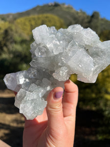 Apophyllite Cluster