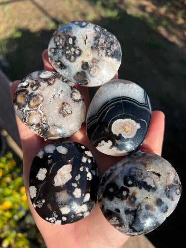 Black Flower Agate Palm Stone Intuitively Selected