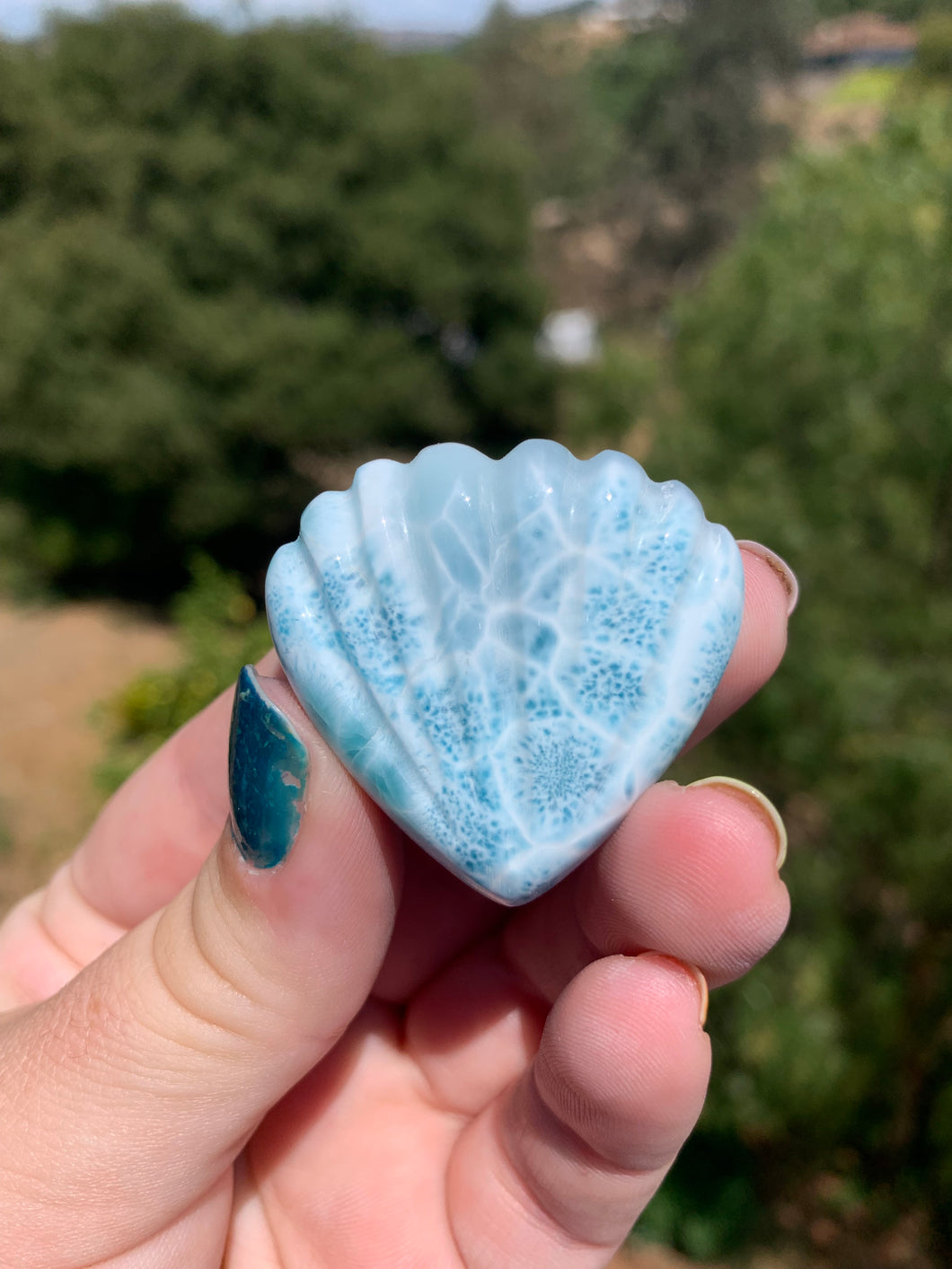 Larimar Shell Cabochon 105X