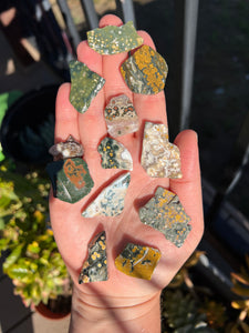 8th Vein Ocean Jasper Lot