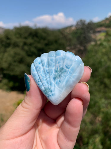 Larimar Shell Cabochon 140AC