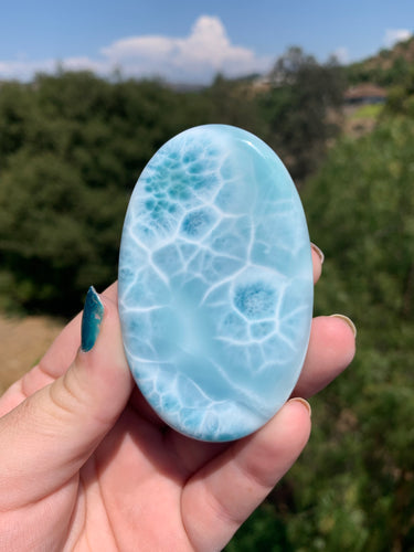 Larimar Palmstone 441CF