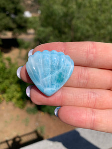 Larimar Shell Cabochon 75QR