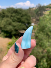 Load image into Gallery viewer, Larimar Fin Standing Carving 45D