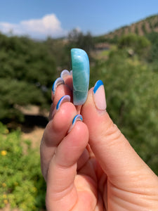 Larimar Shell Cabochon 70PA