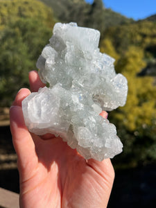 Apophyllite Cluster