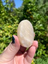 Load image into Gallery viewer, Moonstone Palmstone Variety