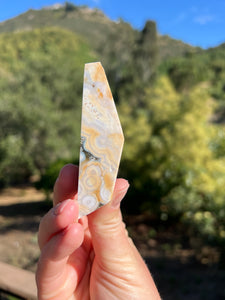 8th Vein Ocean Jasper Geometric