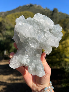 Apophyllite Cluster