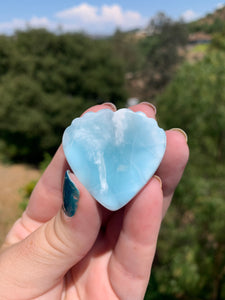 Larimar Shell Cabochon 105X