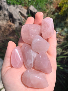 1 Rose Quartz Tumble