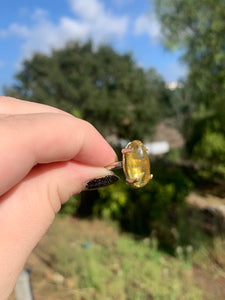 Amber Sterling Silver Rings *Variety