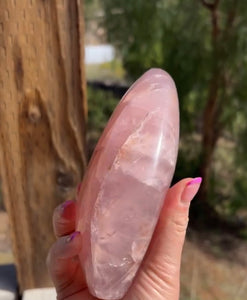 Gemmy Star Rose Quartz