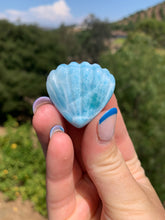 Load image into Gallery viewer, Larimar Shell Cabochon 75QR