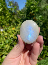 Load image into Gallery viewer, Moonstone Palmstone Variety