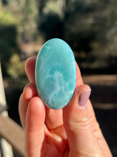 Larimar Palmstone AAA