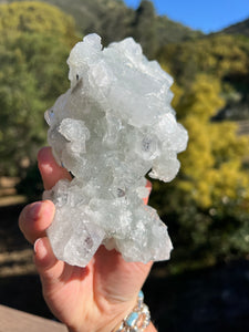 Apophyllite Cluster