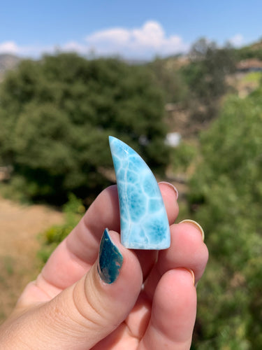 Larimar Fin Standing Carving 45D