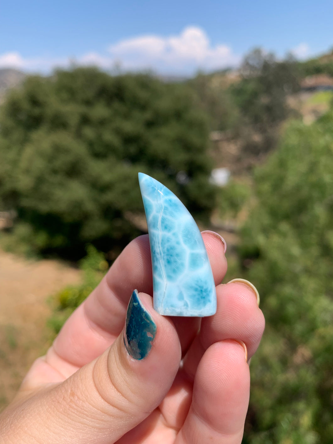 Larimar Fin Standing Carving 45D