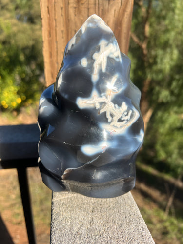 Orca Agate Flame