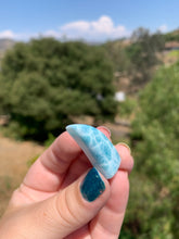 Load image into Gallery viewer, Larimar Fin Standing Carving 45D