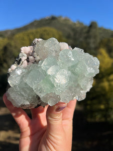 Green Apophyllite with Peach Stilbite