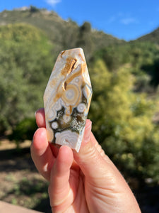 8th Vein Ocean Jasper Geometric