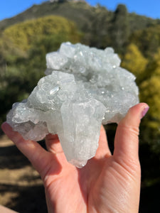 Apophyllite Cluster