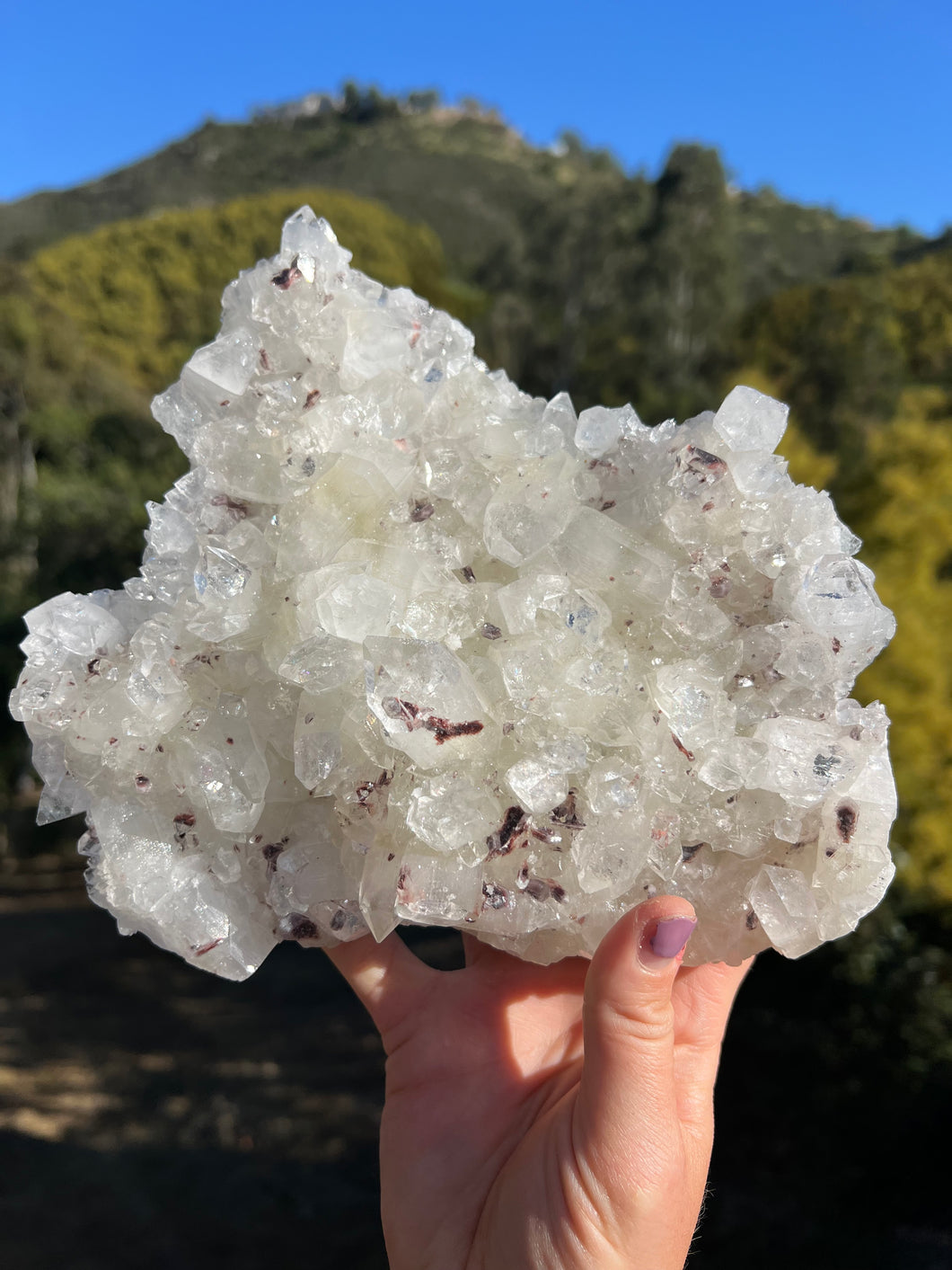 Apophyllite Cluster