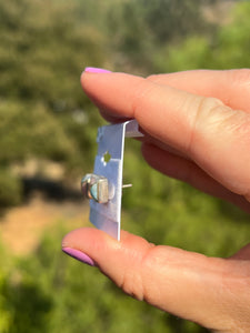 Larimar and Conch Shell Square Sterling Silver Earrings