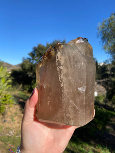 Smokey Quartz with Hematite and Gold Rutile Cutbase