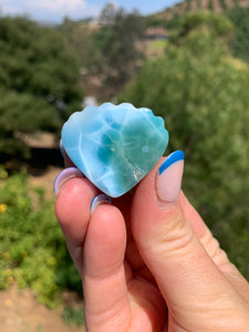 Larimar Shell Cabochon 70PA