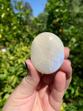 Load image into Gallery viewer, Moonstone Palmstone Variety