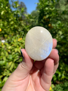 Moonstone Palmstone Variety